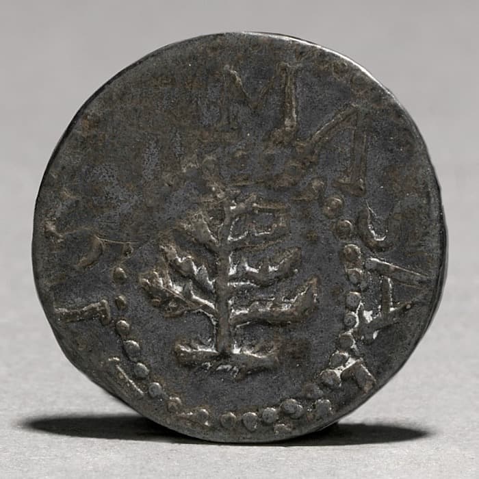 Massachusetts Pine Tree threepence, tree side — the Cleveland Museum of Art's example (1940.441), attributed to silversmith Robert Sanderson. The museum does not state its Noe die variety; the FLOAT constituent's guide value is for the Noe-36 'No Pellets' variety at PCGS AU55.